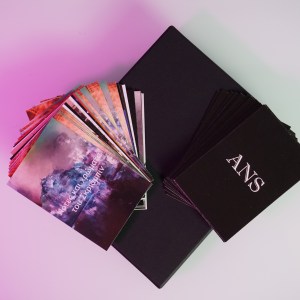 A.N.S. Memory Game Cards