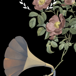 Grammophone Portrait*Artistic