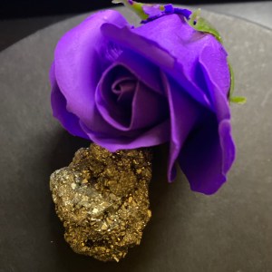 Purple Rose pedal Ezenessence*